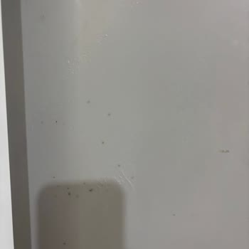 Vestel Buzdolabı Bakımında Belirsizlik Ve Şüphe