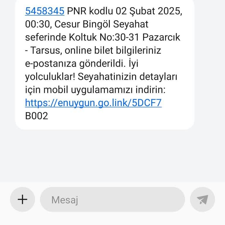 Cesur Bingöl Firmasıyla Yaşanan Yolculuk Sorunları