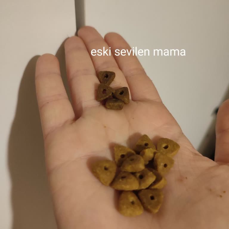 Kedi Maması Kalite Değişimi Mağduriyeti