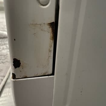 Beko Bulaşık Makinesi Paslanma Sorunu Ve Garanti İlgisizliği