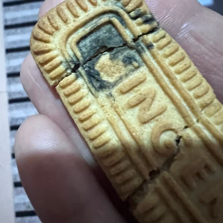 Bisküvi İçindeki Yabancı Madde Endişesi