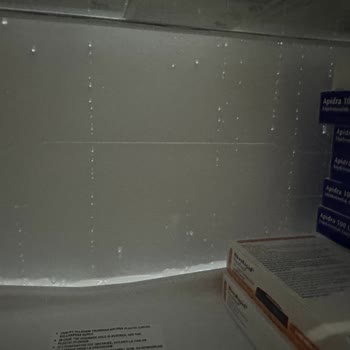 Buzdolabı Sorunu Ve İlgisiz Müşteri Hizmetleri