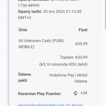 Çalınan Hesaplar Ve Kayıp Oyun Deneyimi