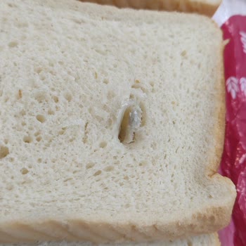 Hijyen Sorunu: Tost Ekmeğinde Yabancı Cisim