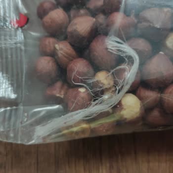 Paşa Kuruyemiş'ten Gelen Naylon İp Şoku: Sağlık Tehlikesi!
