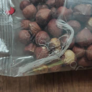 Paşa Kuruyemiş'ten Sağlıksız Ürün Şoku