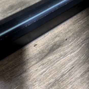 Dedeman Sapanca Village Şikayeti!