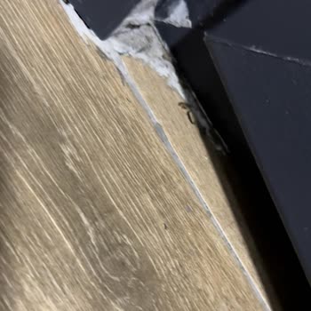 Dedeman Sapanca Village Şikayeti!