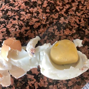 Coşkun Yumurta Organik Yumurtada Şok: Canlı Parçacıklar