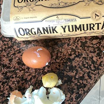 Coşkun Yumurta Organik Yumurtada Şok: Canlı Parçacıklar