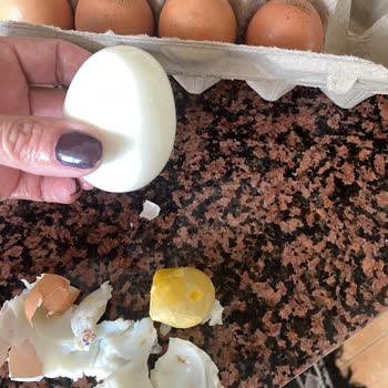 Coşkun Yumurta Organik Yumurtada Şok: Canlı Parçacıklar