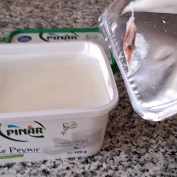 Marketten Alınan Peynirde Küf Sorunu