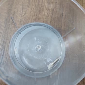 Sinbo Blender Haznesi: Kırılganlık Ve Yedek Parça Sorunu