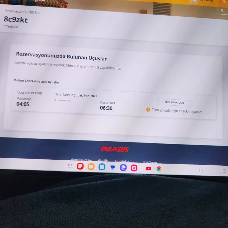 Pegasus Airlines Ticketstornierung nicht möglich und überteuerte Umbuchung angeboten