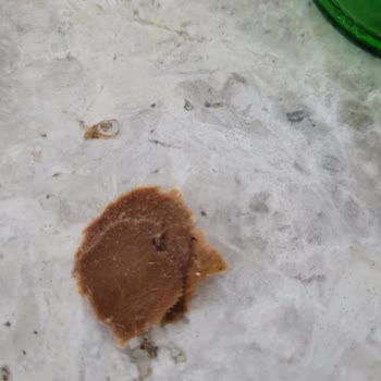Beypazarı Soda Şişesinden Karton Parçası Çıktı