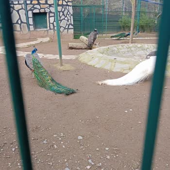 Park Of İstanbul Pahalı Restoran Ve Yetersiz Hizmet