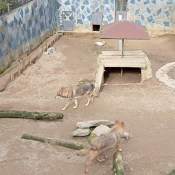 Park Of İstanbul Pahalı Restoran Ve Yetersiz Hizmet