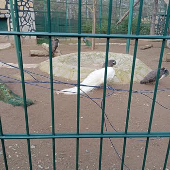 Park Of İstanbul Pahalı Restoran Ve Yetersiz Hizmet