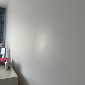 Silinebilirlik Fiyaskosu: Filli Boya Hayal Kırıklığı