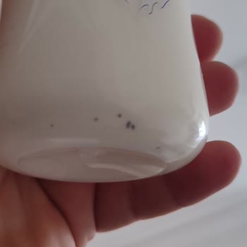 Bebek Mamasında Böcek Problemi