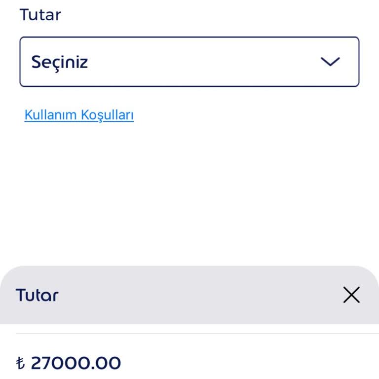 Edenred Ticket Compliments Mix Limit Sorunu Ve E-Kod Kullanım Kısıtlaması