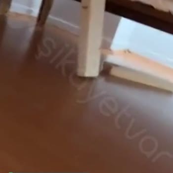 Vivense Çürük Mal Ve Çürük Kurulum!