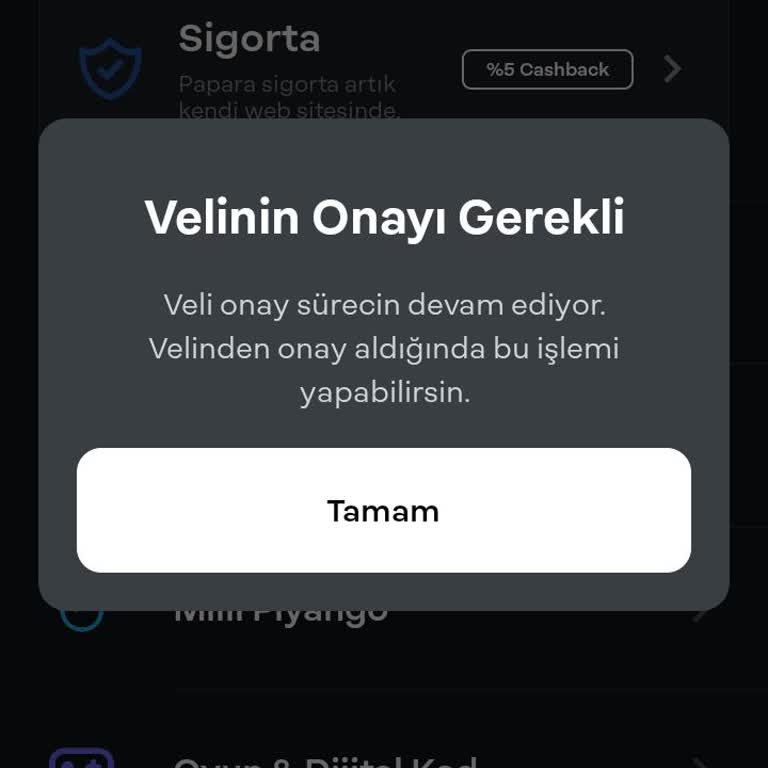 Papara Veli Onayı Sorunu Ve Yardım Talebi!