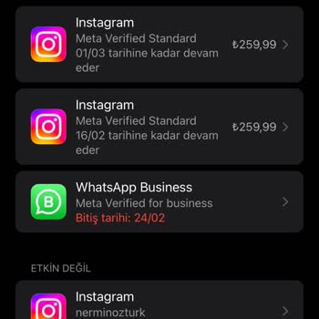 Mavi Tik Sorunu Ve Apple Destek Yanıtı