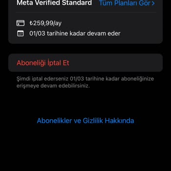 Mavi Tik Sorunu Ve Apple Destek Yanıtı