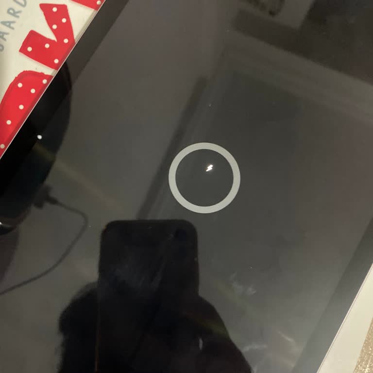 Samsung S6 Lite Tablet Şarj Sorunu Ve Çözüm Arayışı