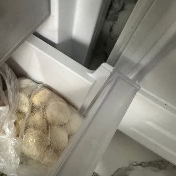 Vestel Buzdolabının Kalitesiz İç Aksamı