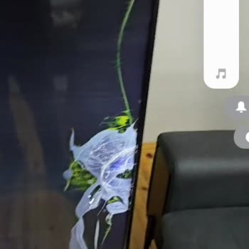 Kırık Televizyon Ve İade Sorunu: Trendyol'un Sorumluluk Almaması