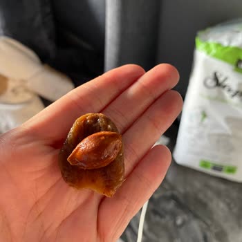 Perfect Delights Tehlikeli Çekirdek Sürprizi!