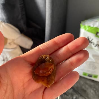 Perfect Delights Tehlikeli Çekirdek Sürprizi!