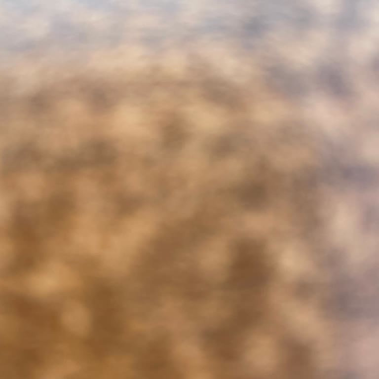 Bayraklı Belediyesi Kafesinde Hizmet Ve Hijyen Sorunları