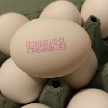 Migros'tan Aldığım Yumurtaların Son Kullanma Tarihi Yok