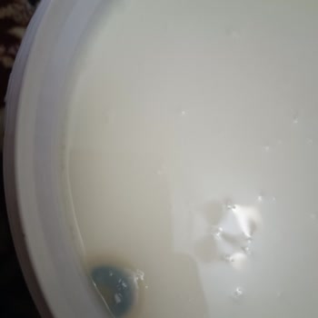 Son Tüketim Tarihi Geçmemiş Yoğurtta Küf Şoku