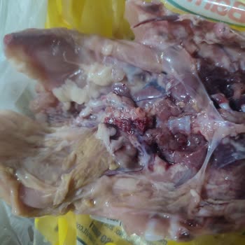 Son Tüketim Tarihi Yaklaşan Tavukta Ağır Koku Ve Sararma