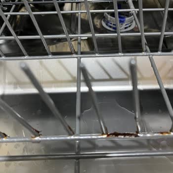 Beko Bulaşık Makinesi Sepetlerinde Paslanma Ve Kopma Sorunu