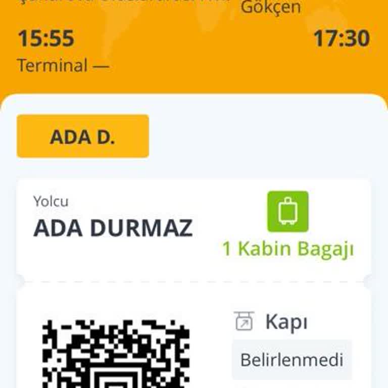 Pegasus İle Yaşanan Bagaj Kabusu