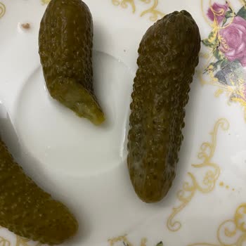 Bozuk Turşu Sağlığımızı Tehdit Ediyor