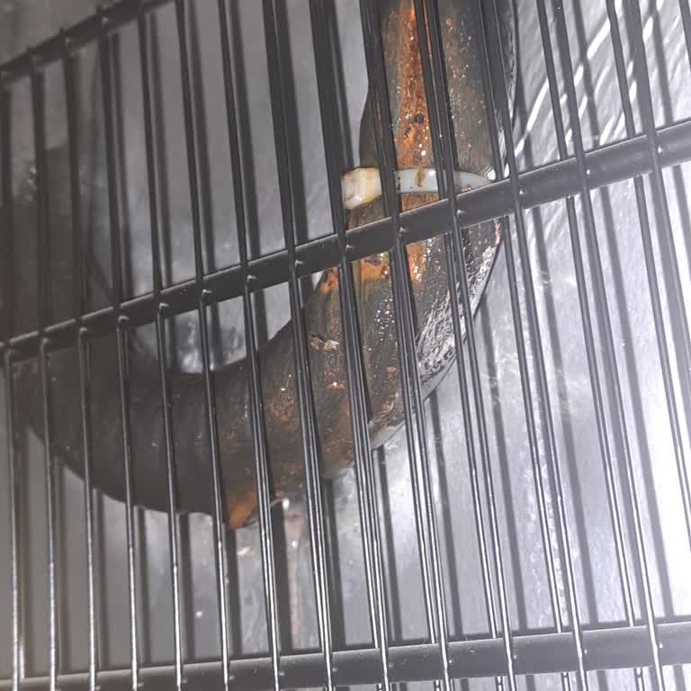 Beko Derin Dondurucu Sürekli Arızalanıyor