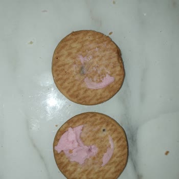 Aldiva Kurabiyelerinde Küf Şoku