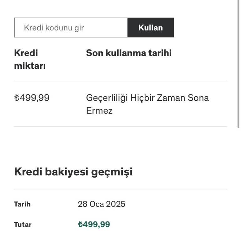 Udemy İade Sürecindeki Kredi Sorunu