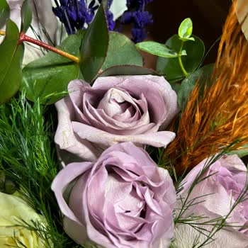 Solmuş Çiçeklerle Hüsran: Çiçek Sepeti'nde Mağduriyet