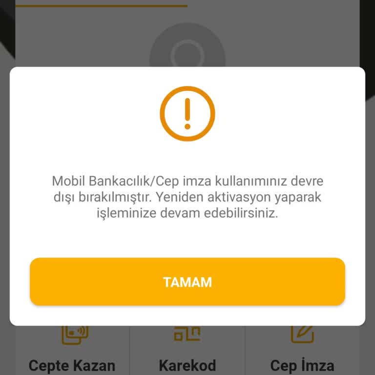 Mobil Bankacılık Uygulaması Giriş Sorunu