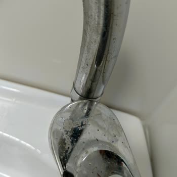 Şen Pres Muslukları: Hayal Kırıklığı Ve Pas Sorunu