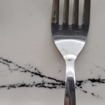 Bosch Bulaşık Makinesi Küf Problemi