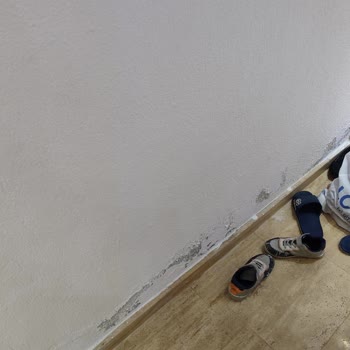 Fenomen Villalarında Hayal Kırıklığı Ve İlgisizlik
