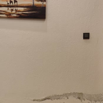 Fenomen Villalarında Hayal Kırıklığı Ve İlgisizlik